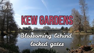 Kew Gardens  Walking Tour HD [upl. by Aicnelev]