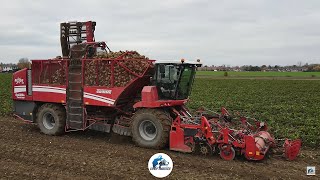 🔴🤩Arrachage de betteraves 2022 avec une GRIMME REXOR 620  Agri Hellin [upl. by Oidale172]