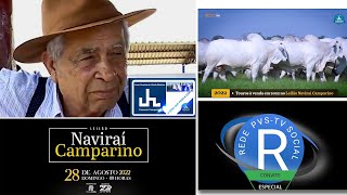 PvsTv AGRO CHAMADA  LEILÃO NAVIRAÍ CAMPARINO 2022  Uberaba MG [upl. by Sherris407]