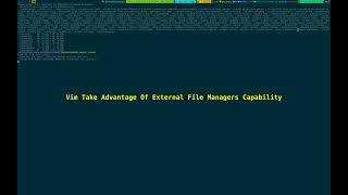 Vim Take Advantage Of External File Managers Capability 20241127032023 [upl. by Assirialc]