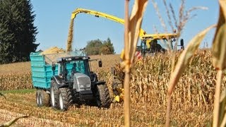 Maisernte mit VALTRA Traktoren  AMPLandtechnik [upl. by Rahsab]