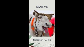 All Santas Reindeer Names 🎅 shorts [upl. by Yorel357]