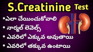 Serum Creatinine Test in Telugu [upl. by Tarra750]