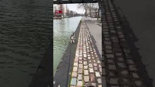 Leashed Dog Jumps into Canal Despite Owners Calls [upl. by Odnumyer]