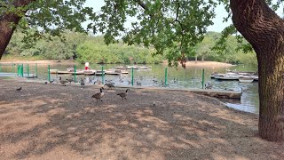 boating lake at whipps cross hollow ponds in London [upl. by Odiug]