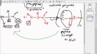 level 3 polymers [upl. by Nylesoj]