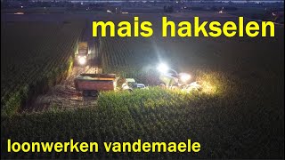 mais hakselen met loonwerken Vandemaele [upl. by Rehpotsirk756]