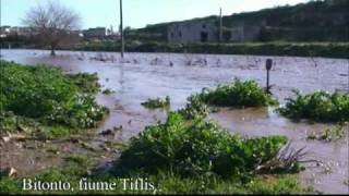 Bitonto rieccolo il fiume Tiflis [upl. by Nonnag628]