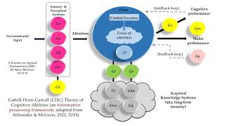 CattellHornCarrol CHC theory of intelligence update 25 [upl. by Gerrard]