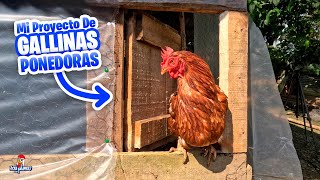 Mi Proyecto de Gallinas Ponedoras Parte 2 🐔 Hacemos Puerta para Gallinas y Mas [upl. by Ecital10]