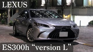 【走行動画】LEXUS ES300h quotversion Lquot  都内イルミネーション [upl. by Tibbetts]