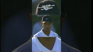 Tiger Woods  TPC Sawgrass 17th Hole  Round 3  The Players Championship 2001 [upl. by Gwenette547]