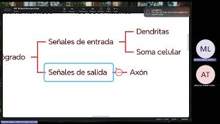 FISIOLOGIA FISIOPATOLOGIA FASE 2 TEORIA 01 01 [upl. by Leirrad]