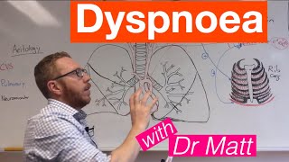 Dyspnoea  Respiratory System [upl. by Ardelia809]