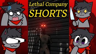 Memes With The Company  Lethal Company [upl. by Liana]