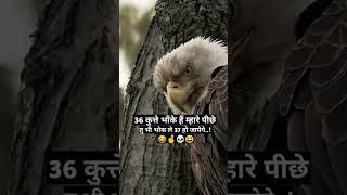 Tochan Full Video  SIDHU MOOSEWALA  BYG BYRD tochansong moosajatt [upl. by Girish]