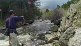 Colorado Small Stream Fly Fishing 51515 [upl. by Enixam]