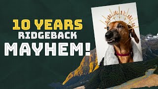 TEN Years Living With Rhodesian Ridgeback Mayhem [upl. by Nivlag]