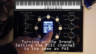 The NDLR  a PAD demo with easy to see and hear notes [upl. by Tavi140]