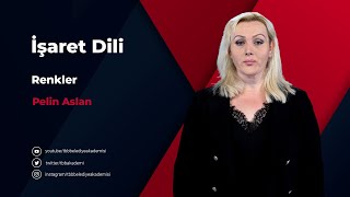 İşaret Dili  Renkler [upl. by Pinter]