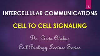 CELLTOCELL INTERCELLULAR COMMUNICATIONS [upl. by Redan513]