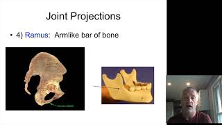 Bone Markings [upl. by Ppik]