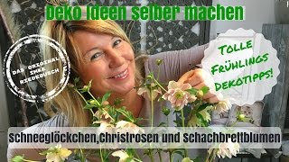 DIYDeko Ideen zum selber machen  kreative Christrosen Schneeglöckchen und Schachbrettblumen [upl. by Norvan]