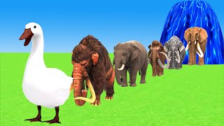 Paint Animals Mammoth Elephant Size Comparison Fountain Crossing Animal Transformation Cartoon [upl. by Errick]