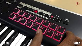 Introduction to Korg Kross 2  Indian [upl. by Naasar]