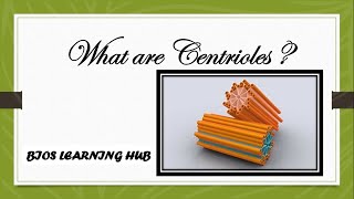 What are centrioles Biology [upl. by Alyssa616]