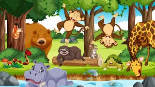 Jungle Ki Sher  cartoon video  cartoon [upl. by Eahs954]