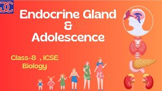 Class8 ICSE Biology Endocrine System amp Adolescence full Chapter [upl. by Iruyas]