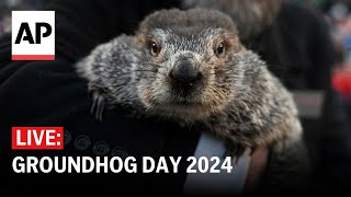 Groundhog Day 2024 Watch if Punxsutawney Phil sees his shadow [upl. by Daley]