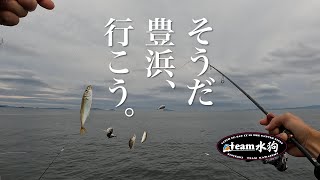 豊浜釣り桟橋で大漁！サビキ釣り。 [upl. by Notsla557]