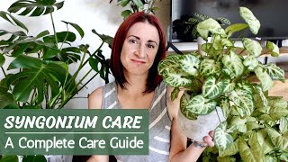 Complete Syngonium Care Guide  Arrowhead Plant Care and Propagation [upl. by Lamoree]