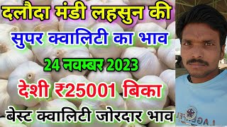 दलौदा मंडी लहसुन की सुपर क्वालिटी का भाव 24 नवम्बर 2023 best garlic rate today aaj ka lahsun bhav [upl. by Brandenburg]