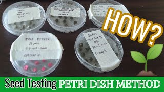 HOW TO TEST THE VIABILITY OF YOUR SEEDS Petri Dish Method🌱 [upl. by Alfonse]