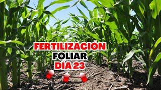 🌽MOMENTO PERFECTO para APLICACIÓN FOLIAR al MAÍZ  primera APLICACIÓN de FERTILIZANTE FOLIAR en MAÍZ [upl. by Atilol]