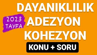 DAYANIKLILIK  ADEZYON VE KOHEZYON KUVVETİ  TYT FİZİK [upl. by Nnanaej]