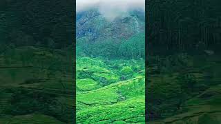 lonavala ❤️ song love newsong beach shortsviral bollywood shortvideo nature travel [upl. by Clarisa]