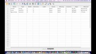 How to Calculate a Two Way ANOVA using SPSS [upl. by Venable]