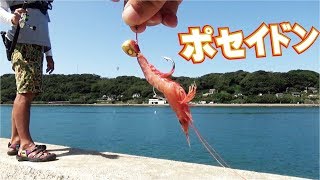 釣りをしていたらなんと！海の神様がきた238話目 [upl. by Zerimar567]