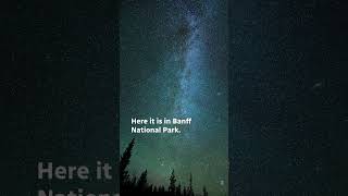 Perseid meteor shower lights up sky in Banff National Park shorts [upl. by Einram]