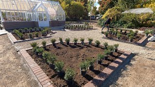 Planting Boxwoods Around the Hartley 🤩🙌💃  Garden Answer [upl. by Porush824]