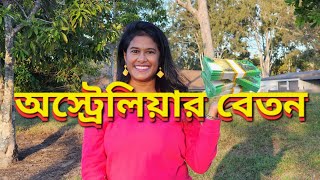 অস্ট্রেলিয়াতে ঘন্টায় মাসে বছরে আয় কত হয়  Income in Australia [upl. by Naitsirc]