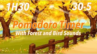 1H30 Pomodoro 305  Autumn Forest Afternoon  Fall Afternoon  With Bird Sounds Forest Sounds [upl. by Sucy274]