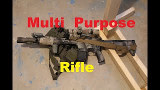 Are Multi Purpose Rifles THE WAY [upl. by Nosbig203]