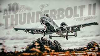 A10 Thunderbolt II in Action [upl. by Assed998]