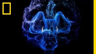 The On Off Switch of Consciousness  Breakthrough [upl. by Ethyl]