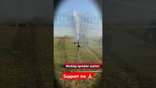 Sprinkler system irrigation sprinklerirrigation sprinkler agriculture shorts viralvideo [upl. by Riana878]